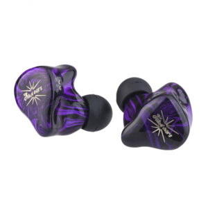 Kiwi Ears Quartet - Image 2