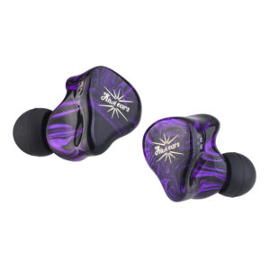 Kiwi Ears Quartet - Image 3