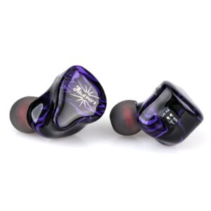 Kiwi Ears Quartet - Image 4