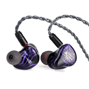 Kiwi Ears Quartet - Image 5
