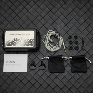 Gizaudio × Binary Chopin - Image 12